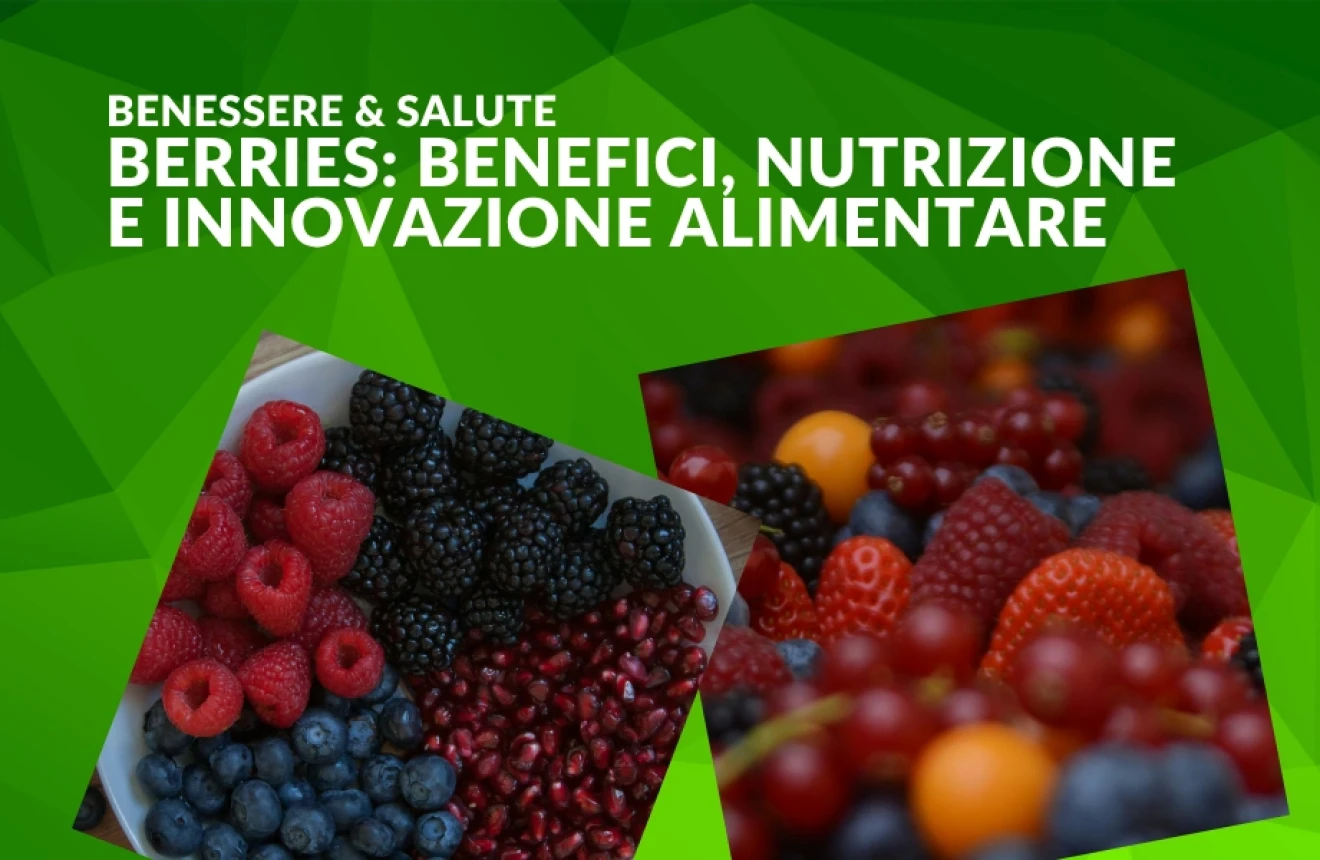 Frutti di bosco, salute e innovazione: perché sono strategici per l’alimentazione del futuro-image