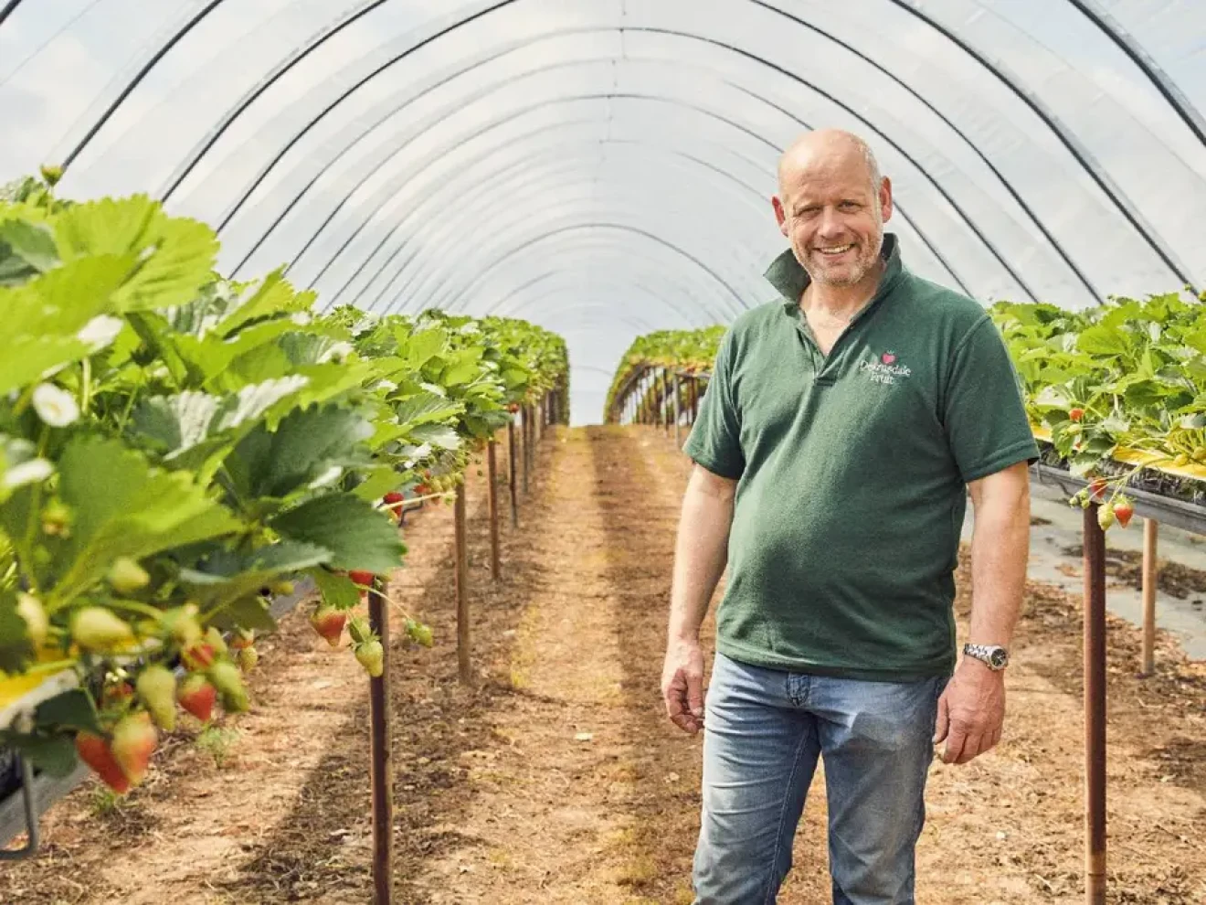 Lidl is investing £500 million in British berries-image