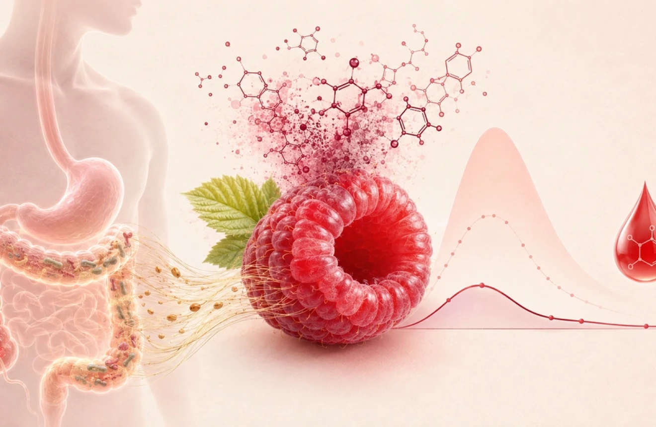 Lamponi, fibre e glicemia: benefici nutrizionali e ruolo nella salute metabolica quotidiana-image