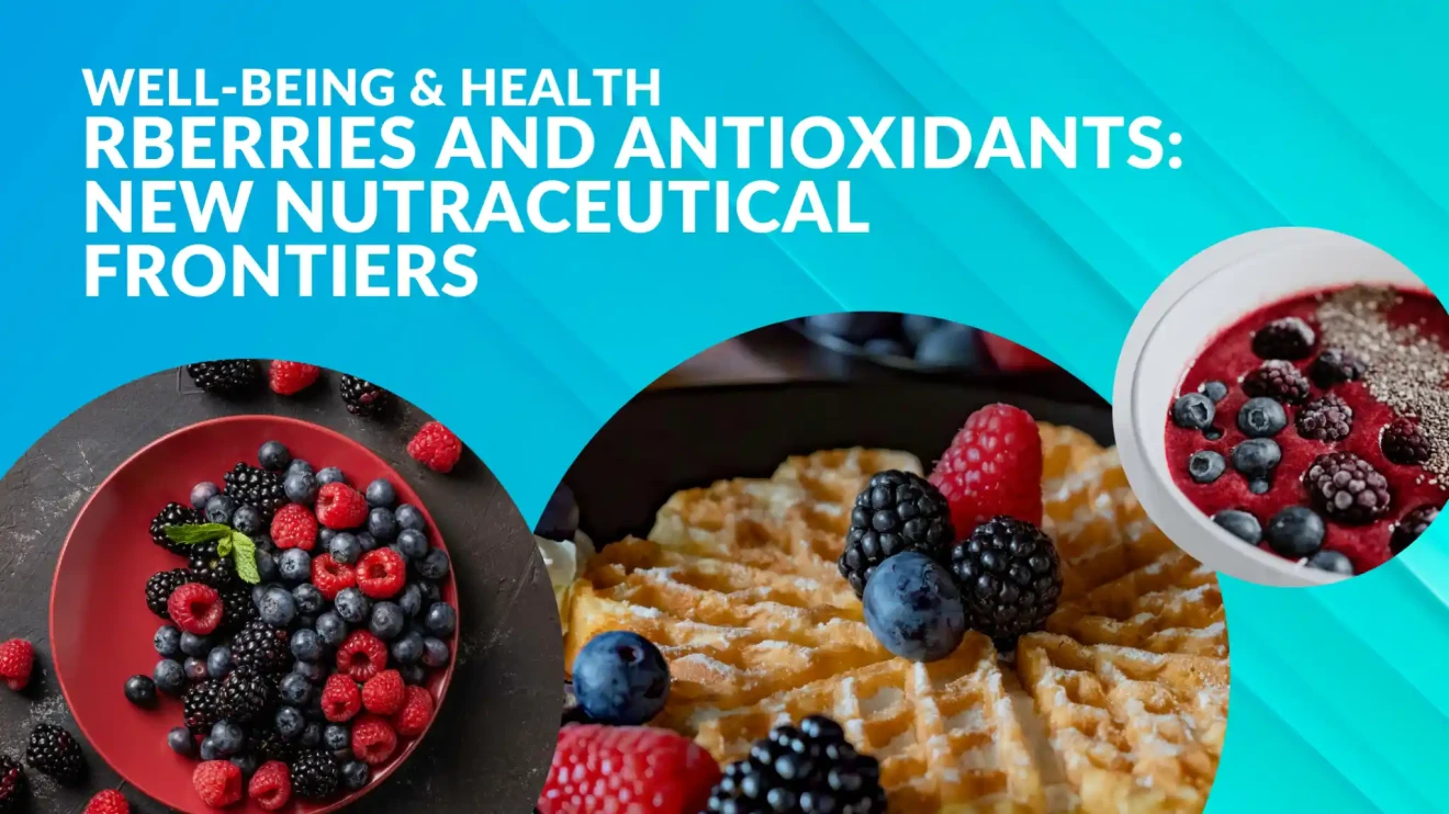 Berries and antioxidants: new nutraceutical frontiers-image
