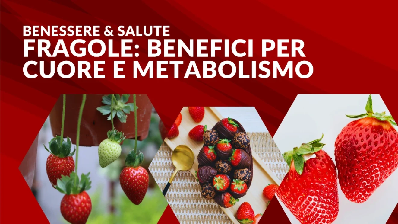 Fragole e salute: cosa dice la scienza su cuore, metabolismo e infiammazione-image