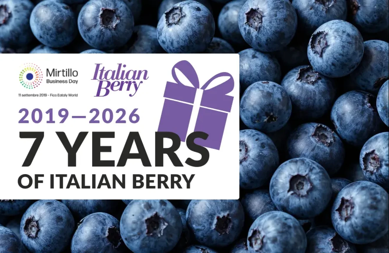 Seven years of Italian Berry: a special gift for our readers-image