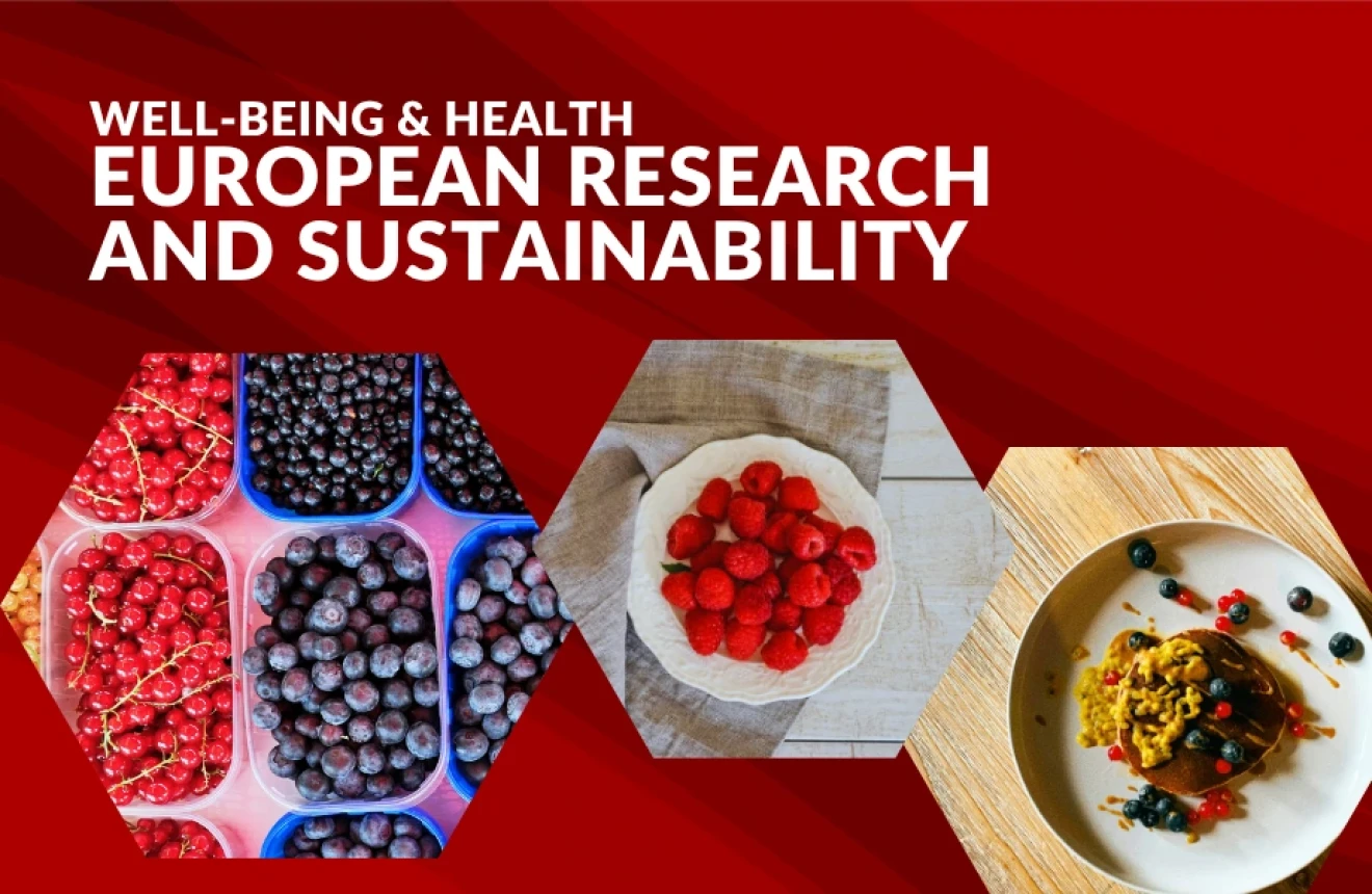 Berries, health and sustainability: European research improves quality and benefits-image