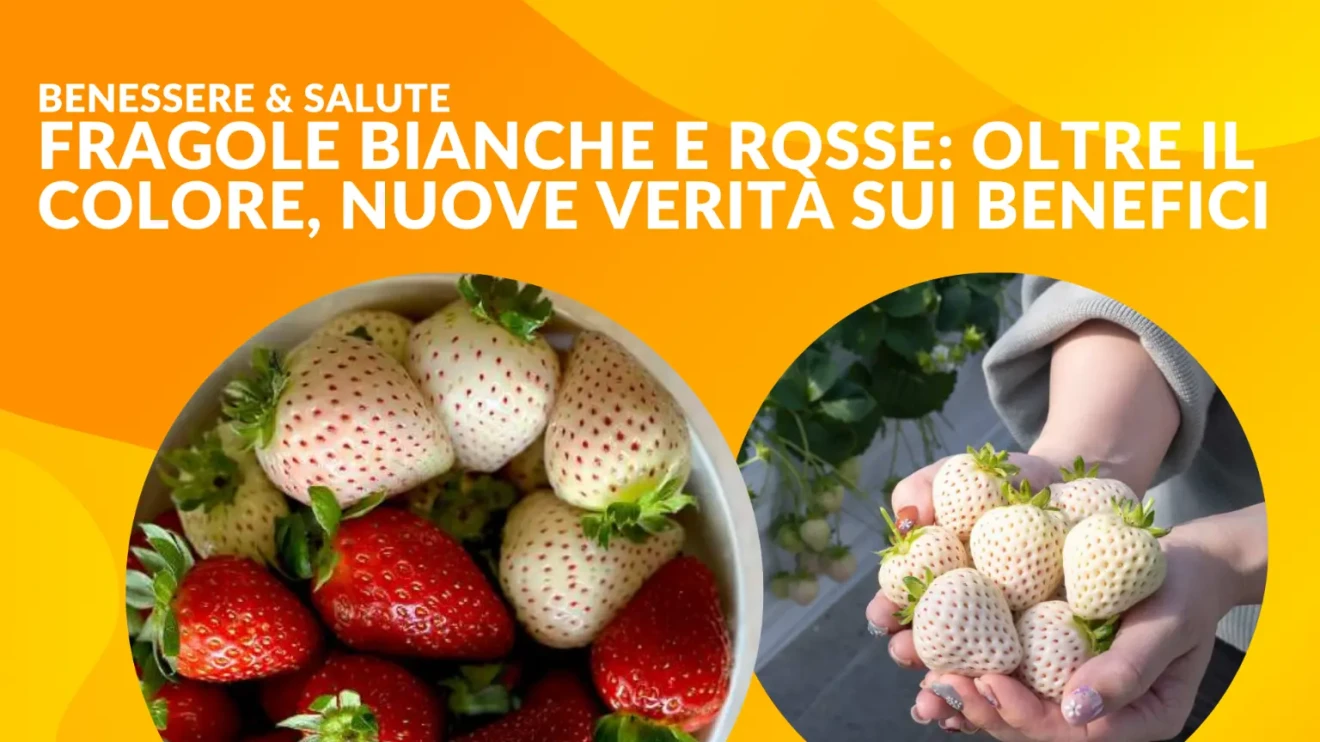 Fragole bianche e rosse: oltre il colore, nuove verità sui benefici-image