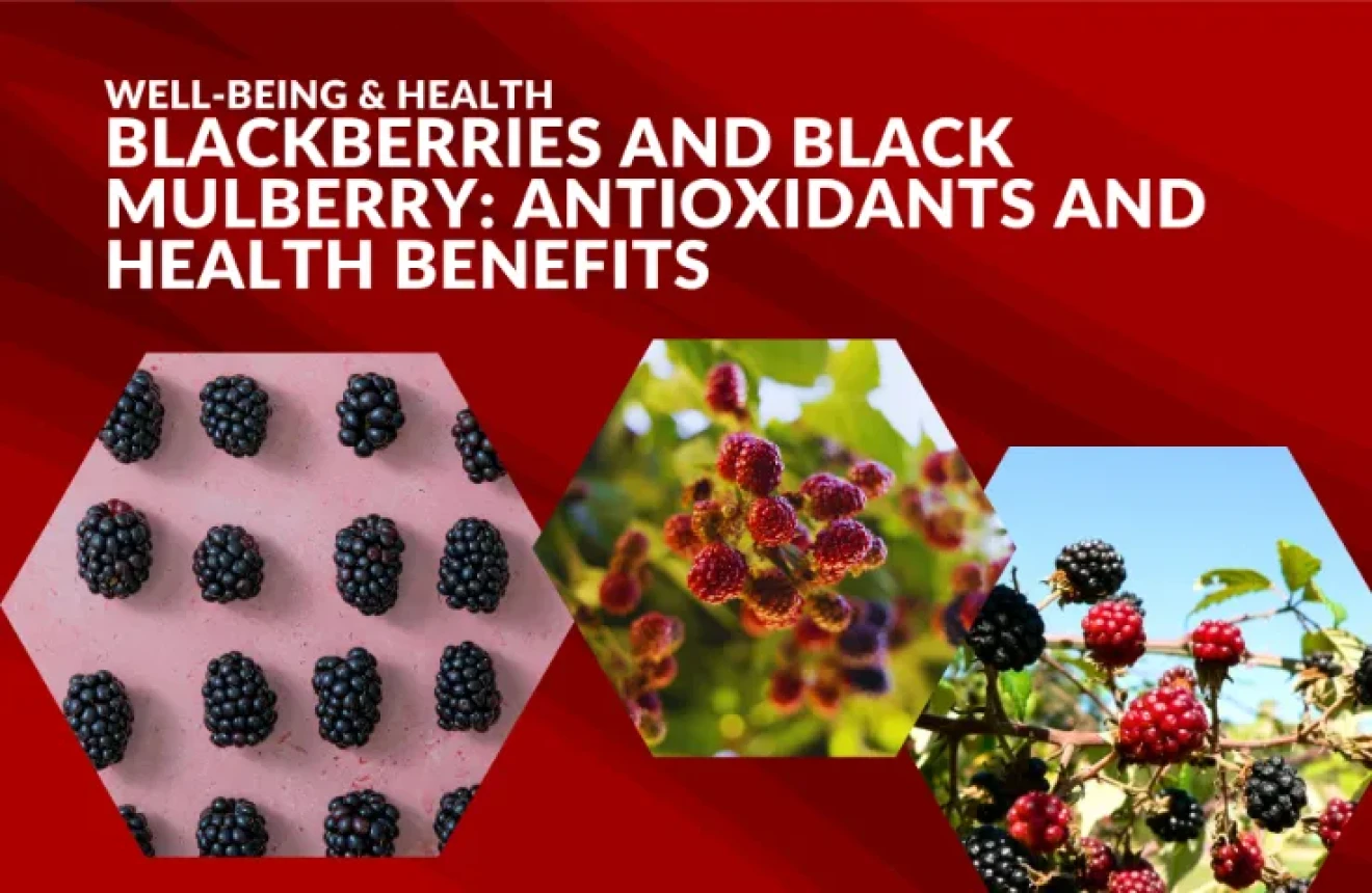 Blackberries and black mulberry: nutrients, antioxidants and berry health benefits for wellness-image
