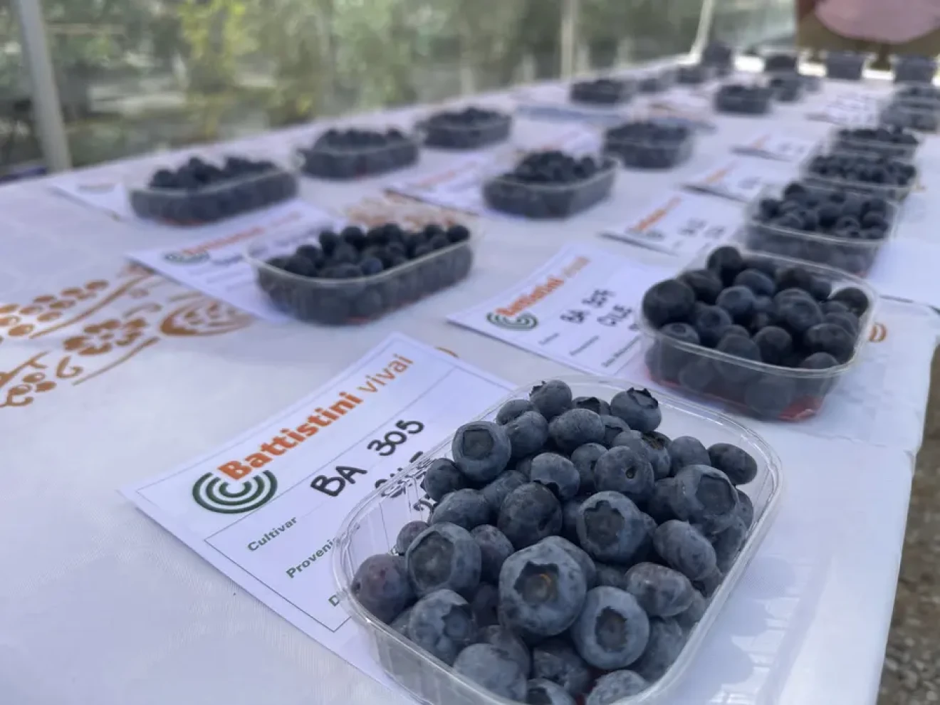 Battistini Vivai: tutte le nuove varietà di mirtillo e lampone presentate alla Mostra Pomologica 2026-image