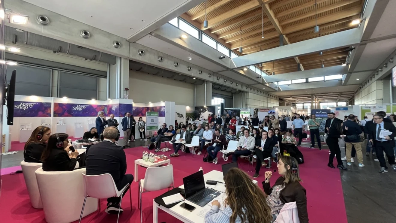 Strawberries: market, varieties and quality 2026 update-image