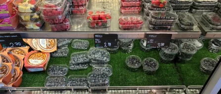 Berries in Trieste: lower availability and rising prices, especially for raspberries and blueberries-image