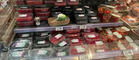 Piccoli frutti a Firenze: prezzi in aumento nella GDO, mirtilli in testa e qualità variabile-image