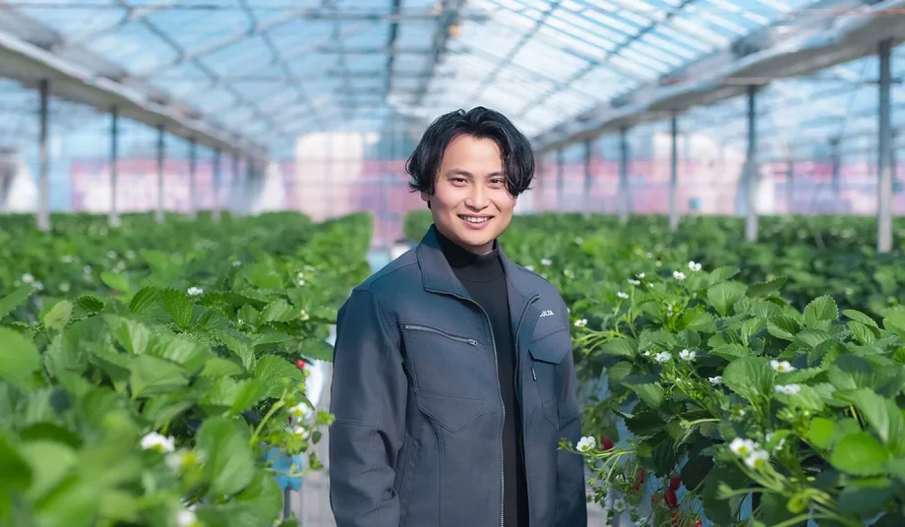 Fragole premium, Culta punta oltre l’Asia: l’AI alla prova dei mercati globali-image