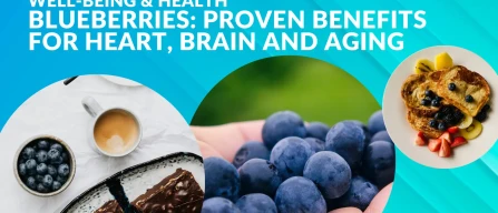 Blueberry and health: proven benefits for heart, brain and aging according to scientific research-image