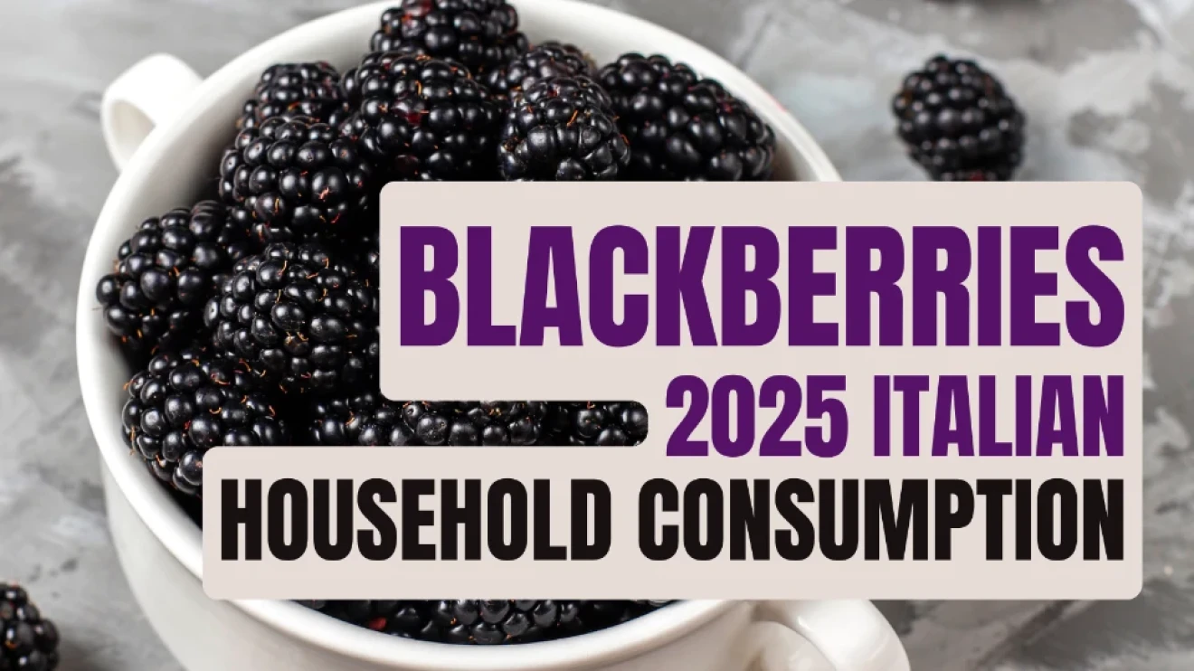 Blackberries in Italy 2025: buyer numbers and value are rising, but purchasing intensity is declining-image