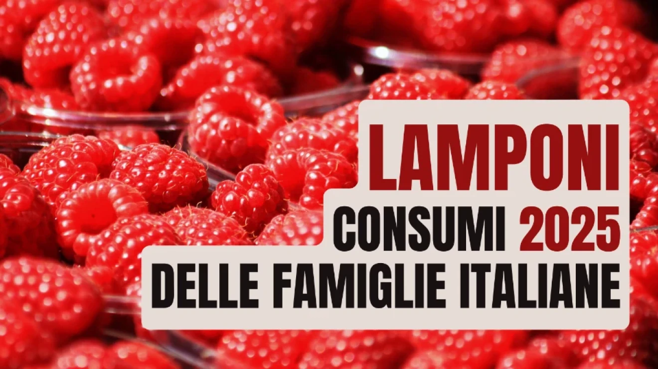 Mercato dei lamponi in Italia 2025: più compratori, volumi in ripresa e valore record-image