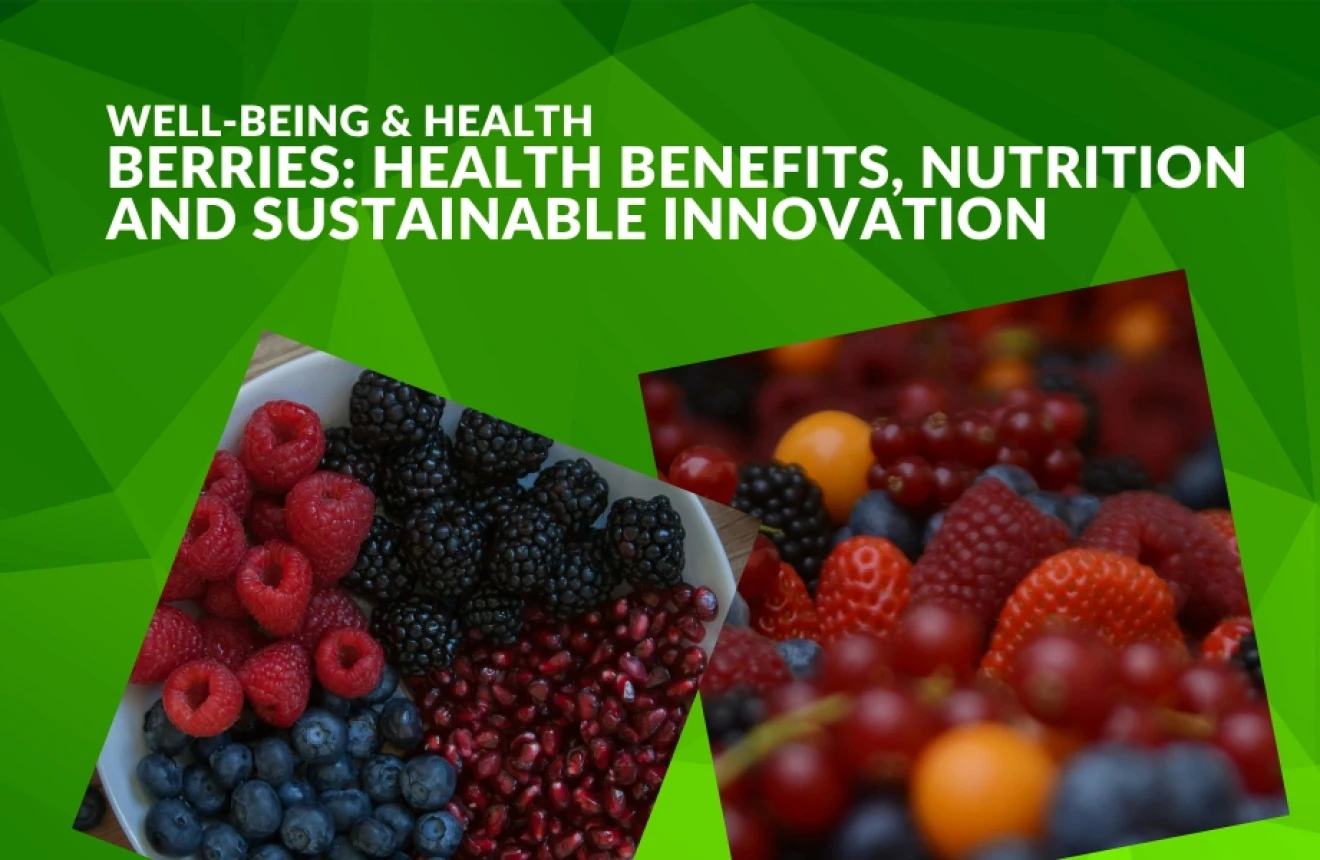 Berries, health and innovation: why they are essential to the future of nutrition worldwide-image