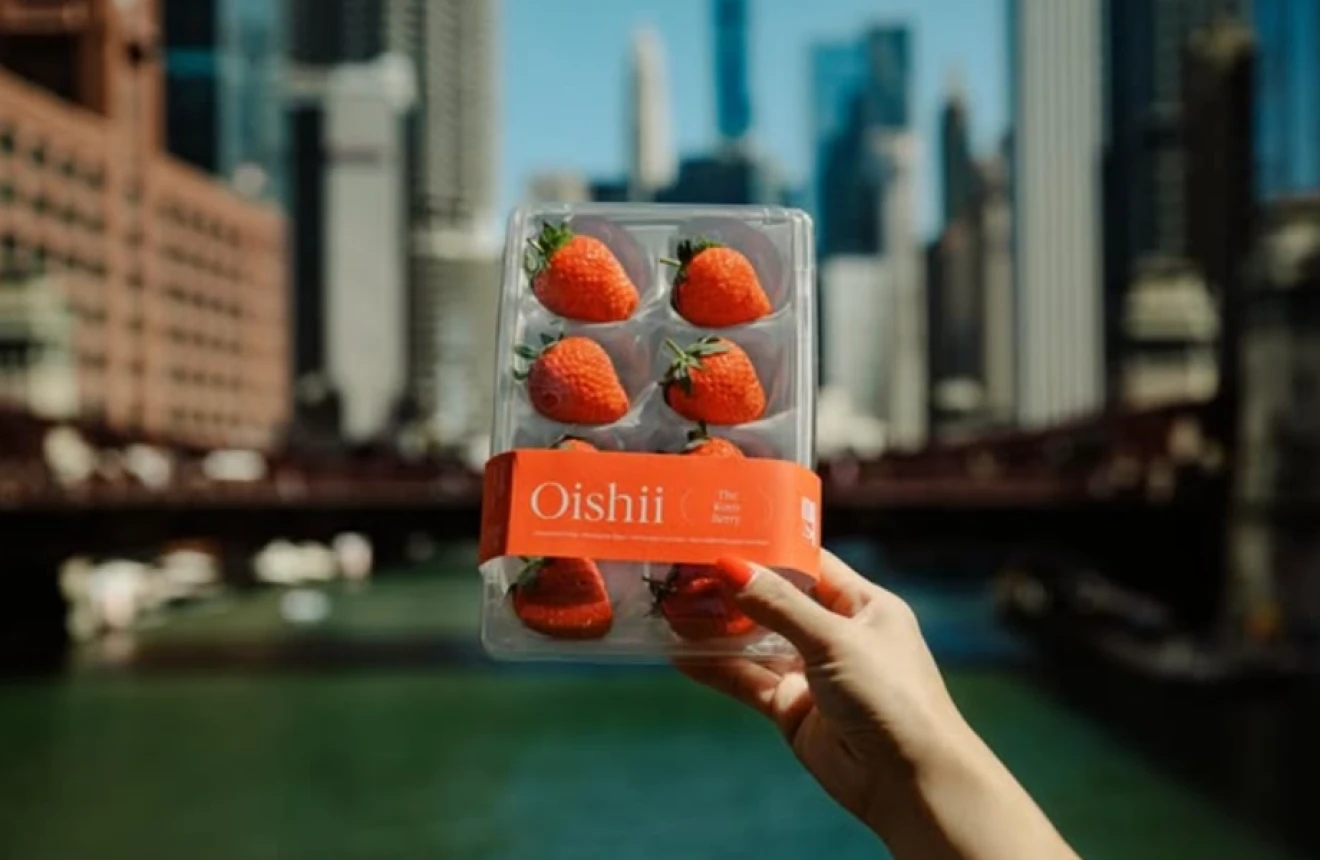 Oishii brings premium Japanese strawberries to Canada-image