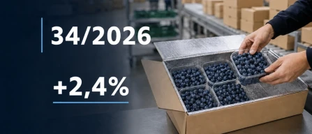 Global blueberry price index rises 2.4% in week 34/2026, led by strong premium segment gains-image