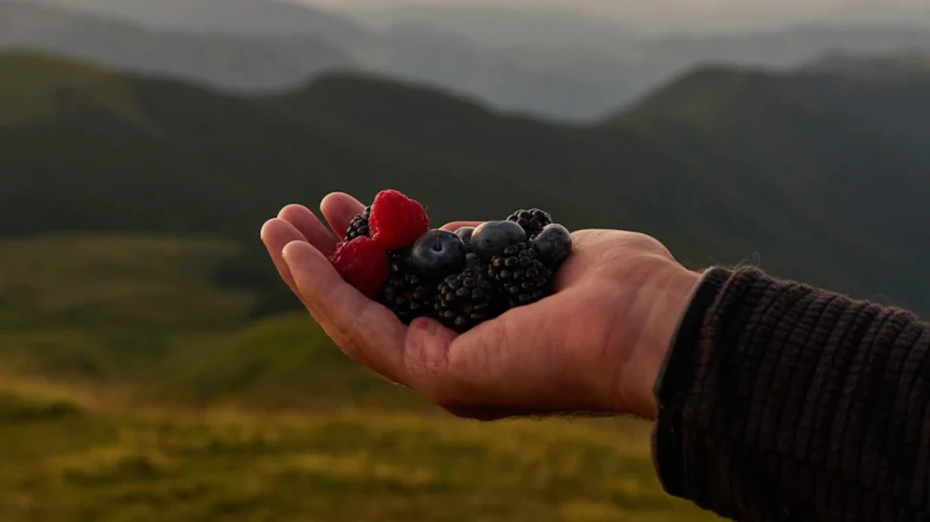 Over 130 million impressions in Berry Swing’s first year-image