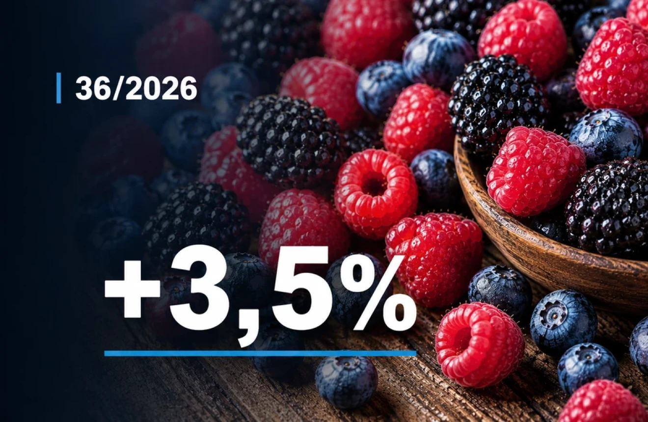 Berries in Italy: retail prices rise in week 36/2026, led by blueberries at +3.5% and blackberries-image