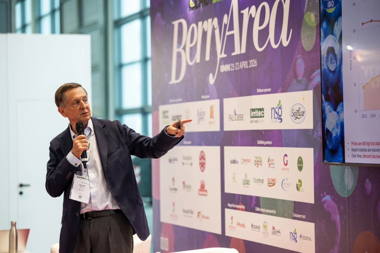 Steta (IBO): genetica e filiera per far crescere il mirtillo italiano-image