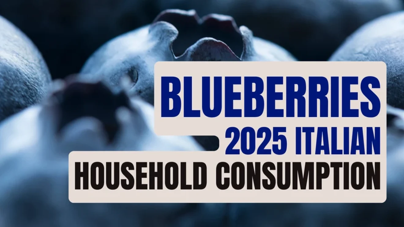 Italian blueberry boom: +50% in 2025-image