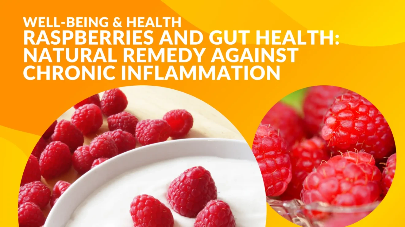 Raspberries and gut health: the natural remedy against chronic inflammation and oxidative stress-image