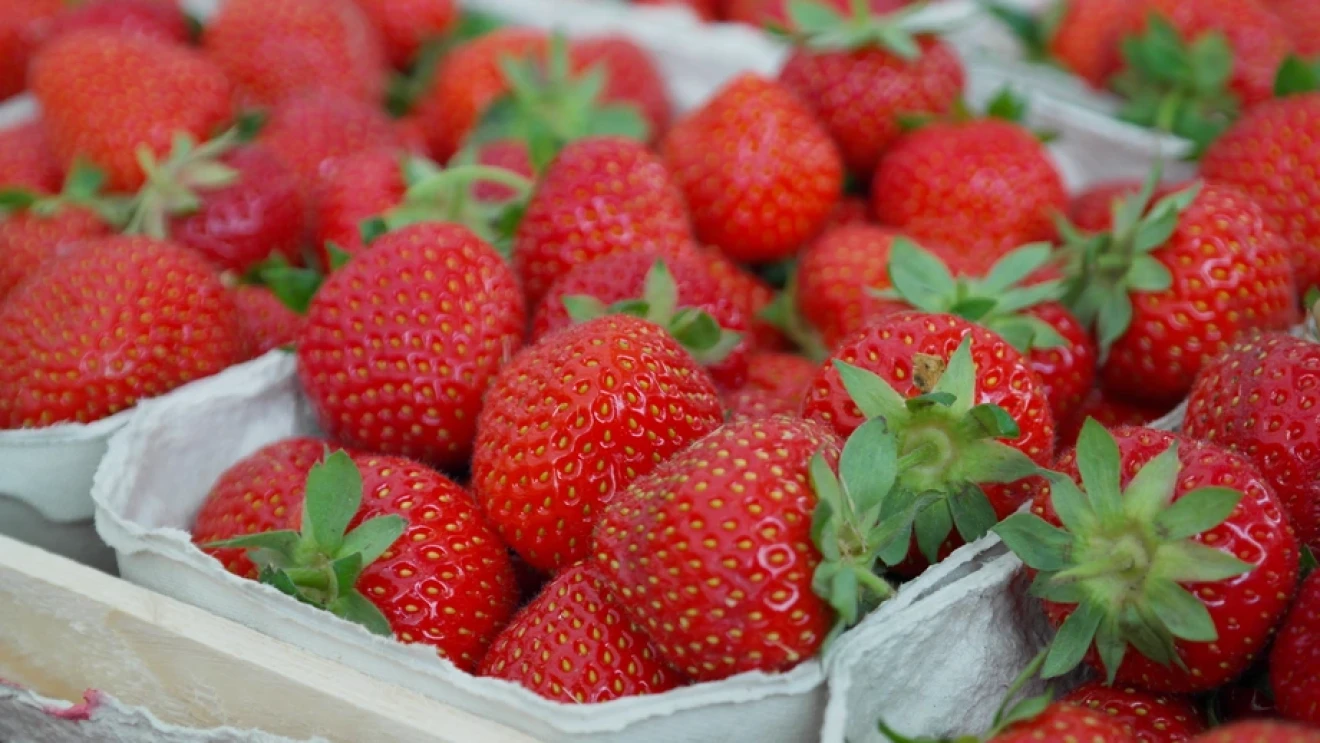 In Saxony-Anhalt, 26 per cent of spending on fresh fruit is on berries-image