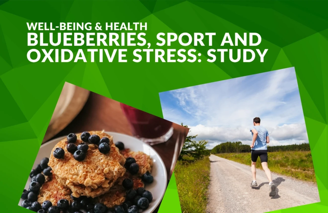 Blueberries and sport: berries as allies against oxidative stress-image