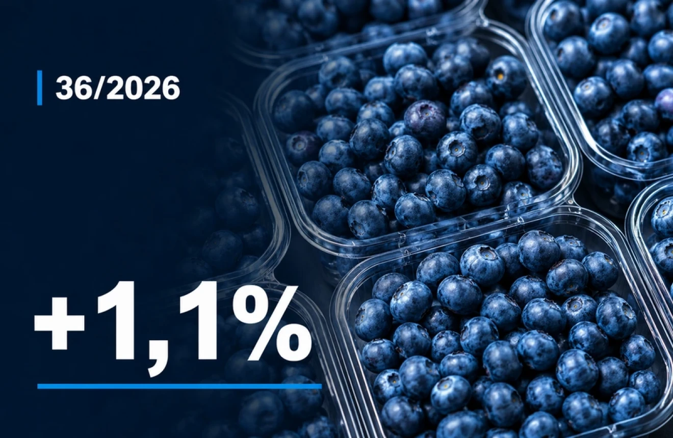 Global blueberry prices rise 1.1%: organic leads growth in week 36/2026 as premium prices decline-image