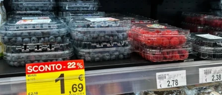 Milan berry retail monitor: Italian blueberries, full shelves and strong promotions in July 2026-image