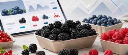 Italia, prezzi online dei piccoli frutti: more +7% , in calo lamponi e mirtilli-image