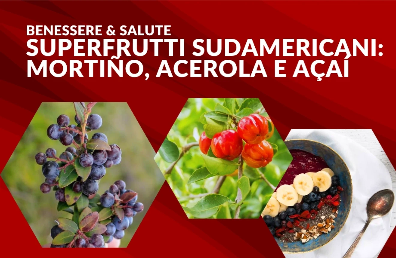 South American superfruits: mortiño, acerola, açaí-image