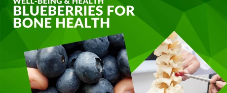 Blueberry and bone health: new science-backed benefits