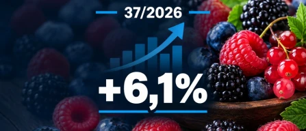 Berries in Italy: retail prices rise 6.1%, with blackberries jumping 15.6% in week 37/2026-image