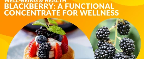 Blackberry: a functional concentrate for wellness with antioxidants and vitamins 
