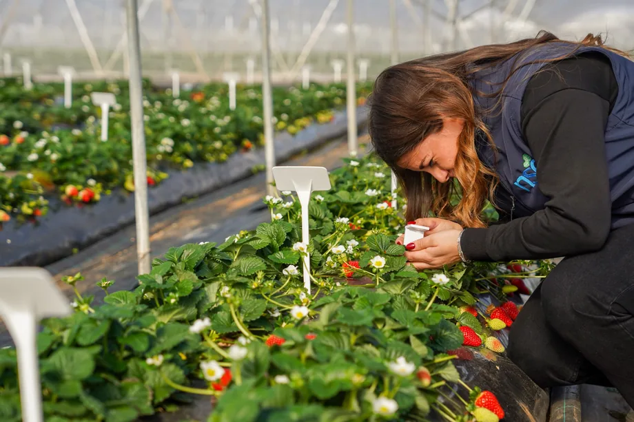 Michela Arcuri, tecnica agronoma di Nova Siri Genetics