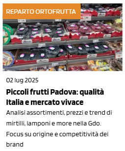 Bancarella con confezioni di mirtilli, lamponi e more in assortimento GDO nei supermercati di Padova, luglio 2025