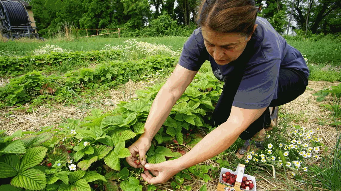 Patrizia Lodi, owner of La Carcassola farm. Photo by La Stampa.