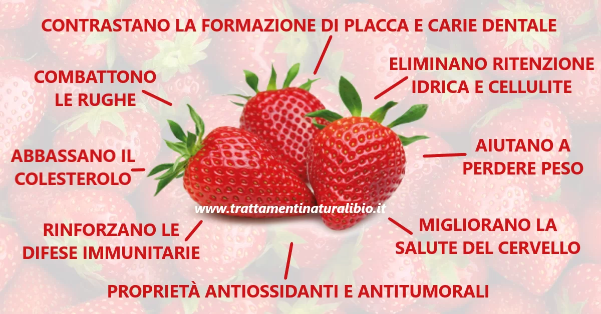 The health benefits of strawberry. Photos from Natural Bio Treatments.