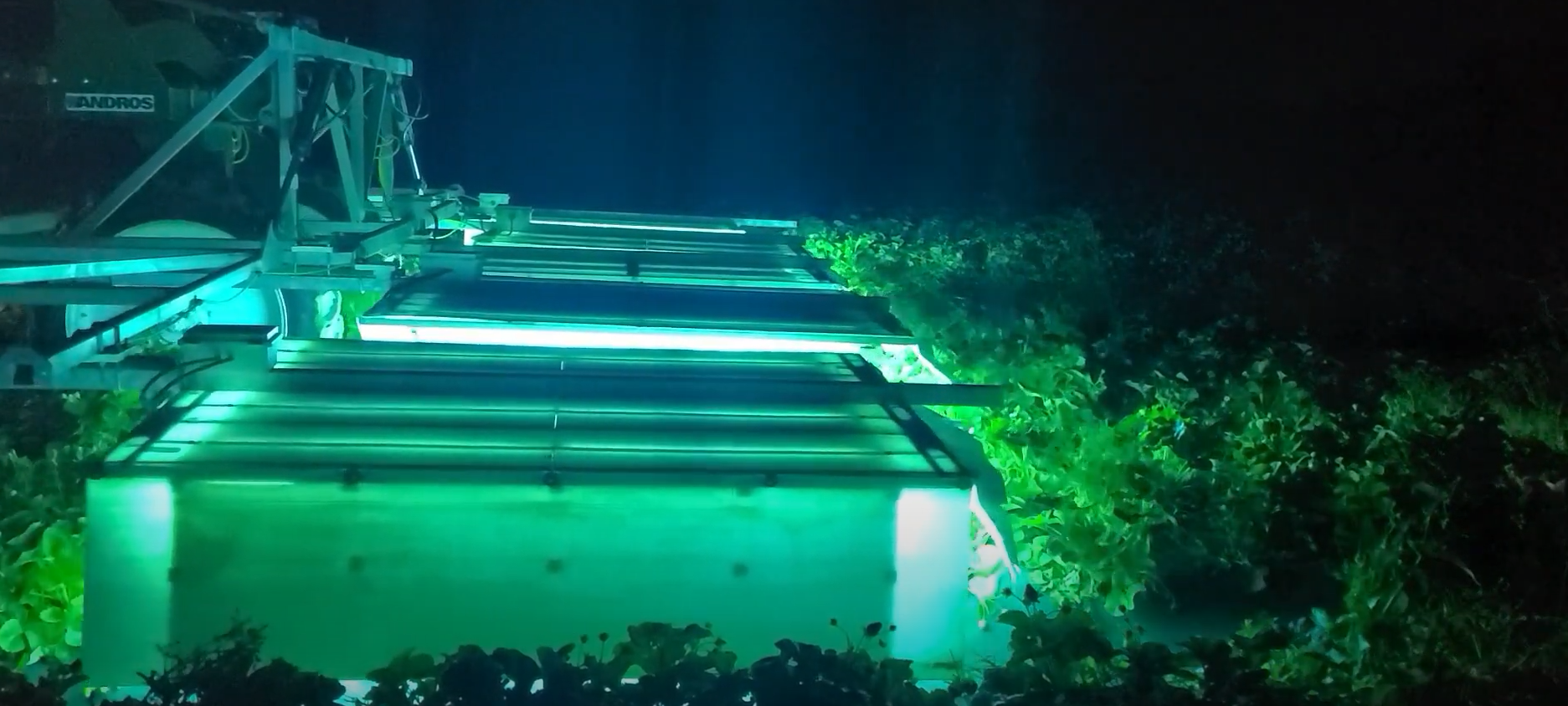 UV-C light could replace the classic chemical pesticide in the years to come.
