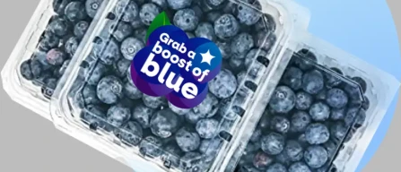 Global prices up 5% for standard blueberries in week 51/2024-image