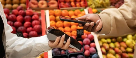 Mirtilli e ribes spingono al rialzo i listini online della settimana 12/2025-image