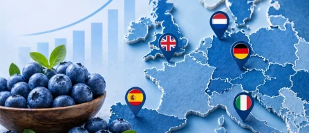 Blueberry: Italy ranks among the top five most promising European markets for 2026-image