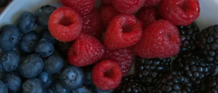 Italy e-commerce: berry prices drop for raspberries, blueberries, blackberries +2.9%-image