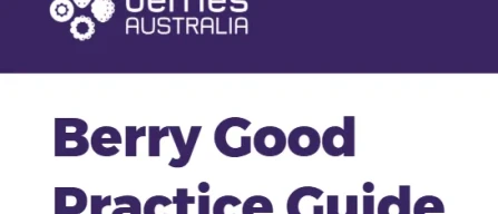 Australia: nasce in NSW la guida Berry Good Practice per la sostenibilità dei piccoli frutti-image