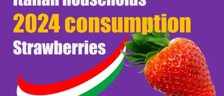 Strawberries: rising prices (+8%) support the market worth € 389 million in Italy-image