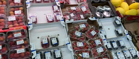 Gdo a Brescia: mirtilli italiani dominano gli scaffali-image