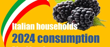 Blackberry expenditure of Italian households doubles between 2022 and 2024-image