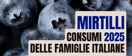 Mirtilli in Italia 2025: consumi più uniformi tra Nord e Sud, cresce la diffusione in tutti i segmenti-image