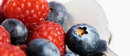 Week 48/2025: raspberry +3.9%, blueberry -4.2% and redcurrant -5.8% in Italy’s berry prices-image