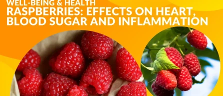 Raspberries: heart, blood sugar and inflammation aid-image